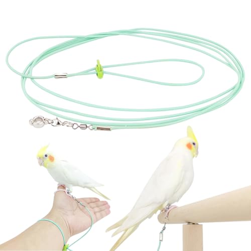 Qpets Parrot Leg Ring, Elastic Rope Parrot Ring for Leg, Parrot Toy 6.6ft Bird Aviator Leash for Budgerigars, Cockatiels, Parrot Bird Leash with 0.75cm Feet Loop & Adjustable Wrist Clasp Qpets Parrot Leg Ring, Elastic Rope Parrot Ring for Leg, Parrot Toy 6.6ft Bird Aviator Leash for Budgerigars, Cockatiels, Parrot Bird Leash with 0.75cm Feet Loop & Adjustable Wrist Clasp